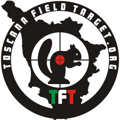 Logo TFT ritaglio .png