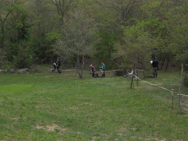 DSCN0003.JPG