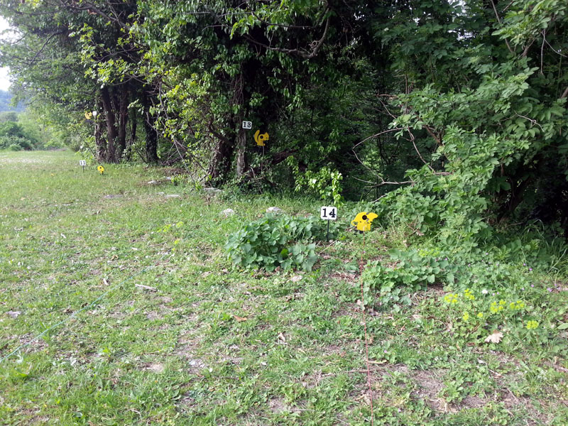 2014-04-12 17.30.55.jpg