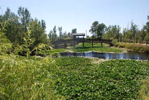 DSC_0027.JPG