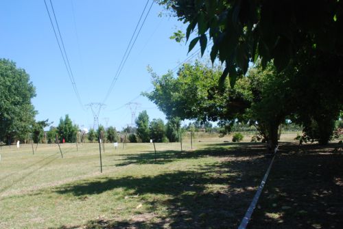 DSC_0024.JPG