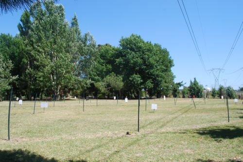 DSC_0025.JPG